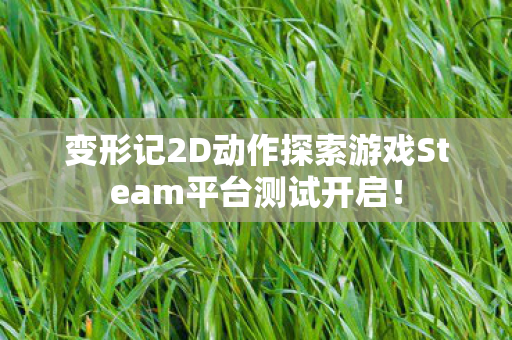 变形记2D动作探索游戏Steam平台测试开启！