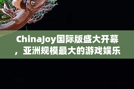 ChinaJoy国际版盛大开幕，亚洲规模最大的游戏娱乐展引领未来潮流