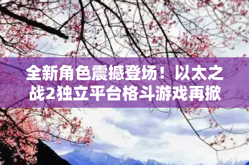 全新角色震撼登场！以太之战2独立平台格斗游戏再掀热潮
