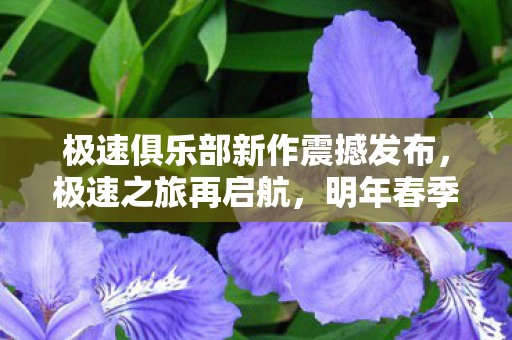 极速俱乐部新作震撼发布，极速之旅再启航，明年春季登陆NS2