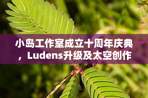 小岛工作室成立十周年庆典，Ludens升级及太空创作方向官宣