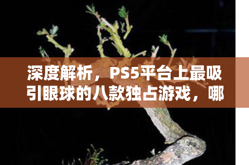 深度解析，PS5平台上最吸引眼球的八款独占游戏，哪款最让你心动？