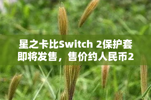 星之卡比Switch 2保护套即将发售，售价约人民币204元
