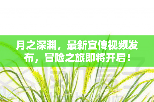 月之深渊，最新宣传视频发布，冒险之旅即将开启！