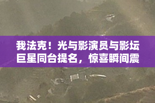 我法克！光与影演员与影坛巨星同台提名，惊喜瞬间震撼全场