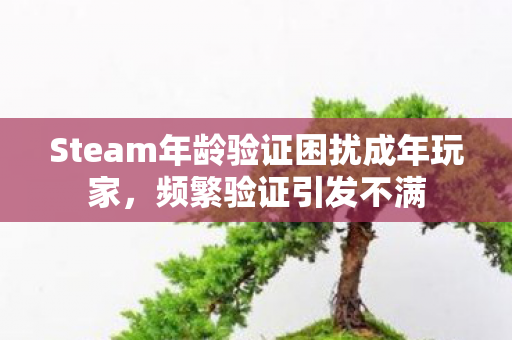 Steam年龄验证困扰成年玩家，频繁验证引发不满