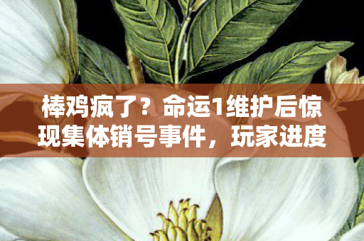 棒鸡疯了？命运1维护后惊现集体销号事件，玩家进度一夜消失！