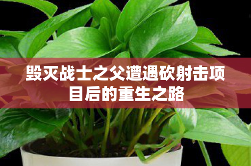 毁灭战士之父遭遇砍射击项目后的重生之路