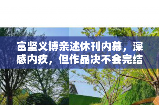 富坚义博亲述休刊内幕，深感内疚，但作品决不会完结