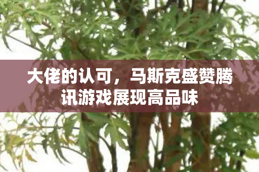 大佬的认可，马斯克盛赞腾讯游戏展现高品味