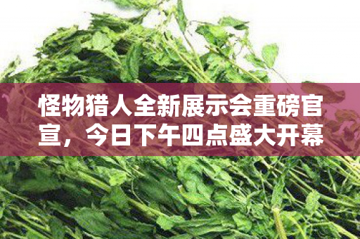 怪物猎人全新展示会重磅官宣，今日下午四点盛大开幕！