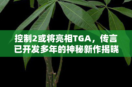 控制2或将亮相TGA，传言已开发多年的神秘新作揭晓？你确定吗？