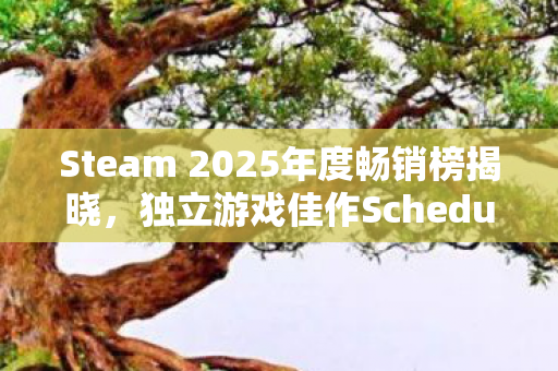 Steam 2025年度畅销榜揭晓，独立游戏佳作Schedule 1荣耀入围