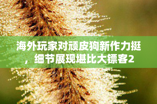 海外玩家对顽皮狗新作力挺，细节展现堪比大镖客2