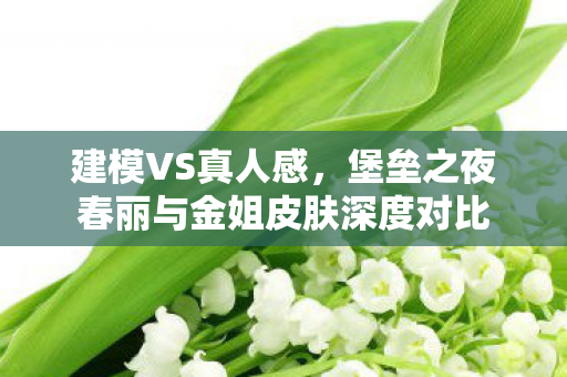 建模VS真人感，堡垒之夜春丽与金姐皮肤深度对比