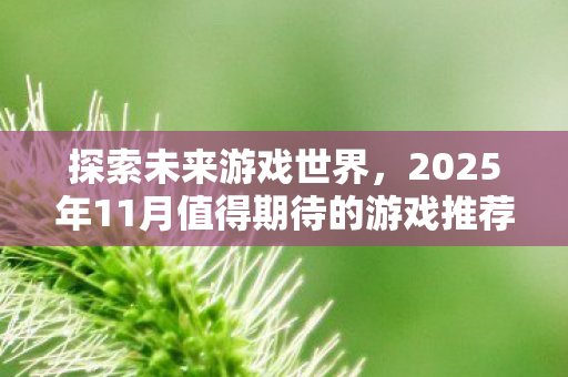 探索未来游戏世界，2025年11月值得期待的游戏推荐