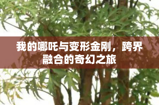 我的哪吒与变形金刚，跨界融合的奇幻之旅