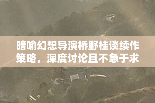 暗喻幻想导演桥野桂谈续作策略，深度讨论且不急于求成