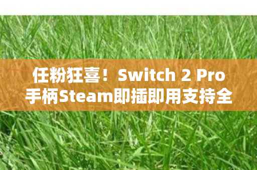 任粉狂喜！Switch 2 Pro手柄Steam即插即用支持全新升级体验
