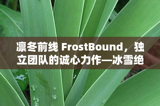 凛冬前线 FrostBound，独立团队的诚心力作—冰雪绝境中的策略卡牌之旅