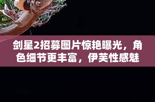 剑星2招募图片惊艳曝光，角色细节更丰富，伊芙性感魅力再现！