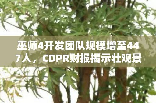 巫师4开发团队规模增至447人，CDPR财报揭示壮观景象