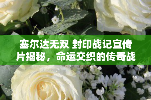 塞尔达无双 封印战记宣传片揭秘，命运交织的传奇战记