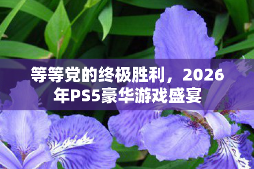 等等党的终极胜利，2026年PS5豪华游戏盛宴