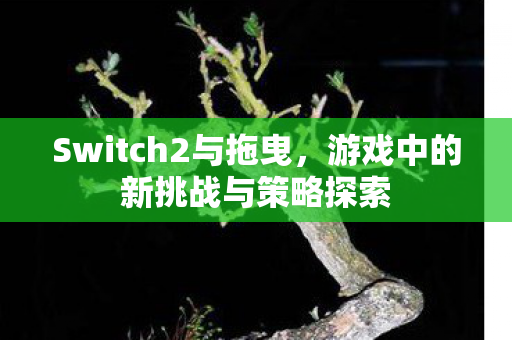 Switch2与拖曳，游戏中的新挑战与策略探索