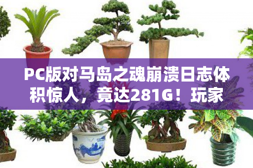 PC版对马岛之魂崩溃日志体积惊人，竟达281G！玩家愤怒痛斥游戏问题