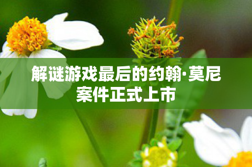 解谜游戏最后的约翰·莫尼案件正式上市