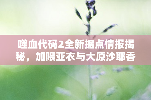 噬血代码2全新据点情报揭秘，加隈亚衣与大原沙耶香的华丽参演