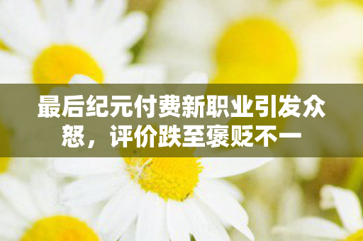 最后纪元付费新职业引发众怒，评价跌至褒贬不一