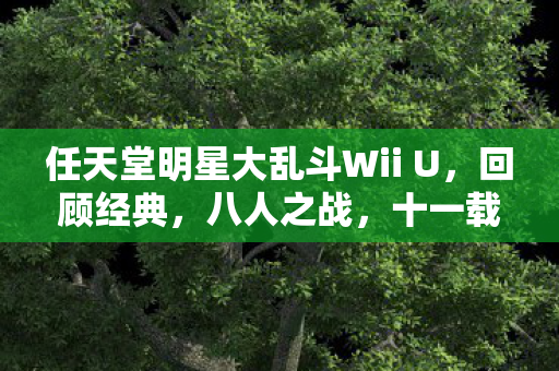 任天堂明星大乱斗Wii U，回顾经典，八人之战，十一载荣光