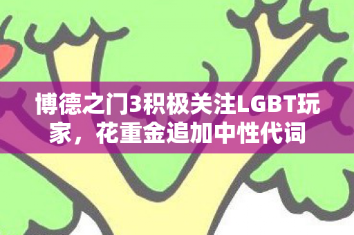 博德之门3积极关注LGBT玩家，花重金追加中性代词