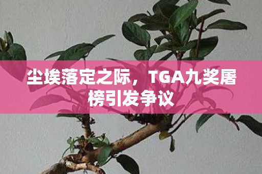 尘埃落定之际，TGA九奖屠榜引发争议