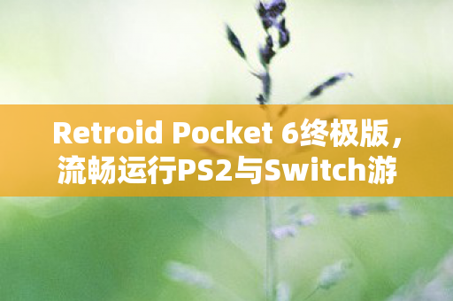 Retroid Pocket 6终极版，流畅运行PS2与Switch游戏的掌上盛宴