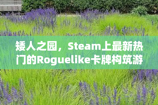 矮人之园，Steam上最新热门的Roguelike卡牌构筑游戏
