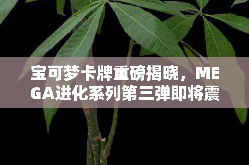 宝可梦卡牌重磅揭晓，MEGA进化系列第三弹即将震撼登场！明年全新发行！