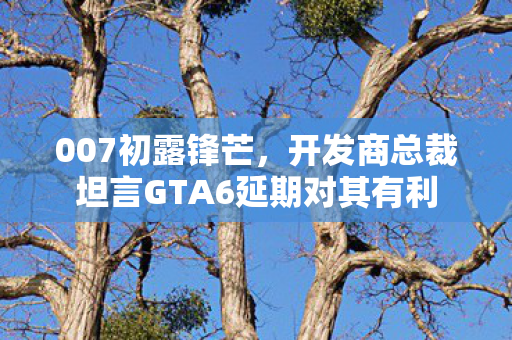 007初露锋芒，开发商总裁坦言GTA6延期对其有利