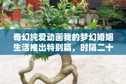 奇幻纯爱动画我的梦幻婚姻生活推出特别篇，时隔二十六年终将播出