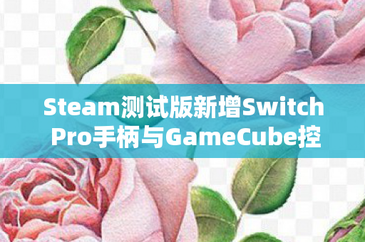 Steam测试版新增Switch Pro手柄与GameCube控制器支持，玩家的新选择