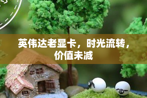 英伟达老显卡，时光流转，价值未减