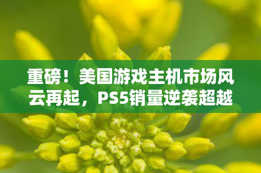 重磅！美国游戏主机市场风云再起，PS5销量逆袭超越Switch，独占鳌头！