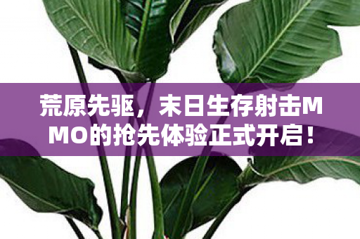 荒原先驱，末日生存射击MMO的抢先体验正式开启！