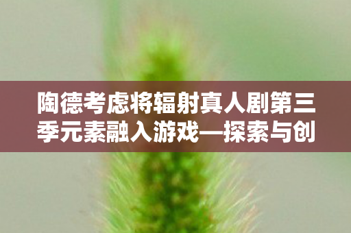陶德考虑将辐射真人剧第三季元素融入游戏—探索与创新的融合