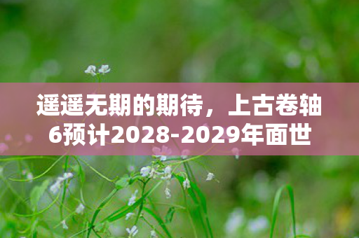 遥遥无期的期待，上古卷轴6预计2028-2029年面世