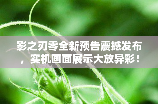 影之刃零全新预告震撼发布，实机画面展示大放异彩！