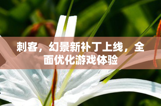 刺客，幻景新补丁上线，全面优化游戏体验