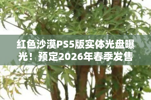 红色沙漠PS5版实体光盘曝光！预定2026年春季发售